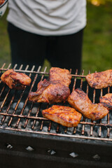 Summer hot fire BBQ on the grill on a green meadow. Pork skewers.