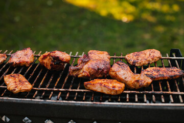 Summer hot fire BBQ on the grill on a green meadow. Pork skewers.
