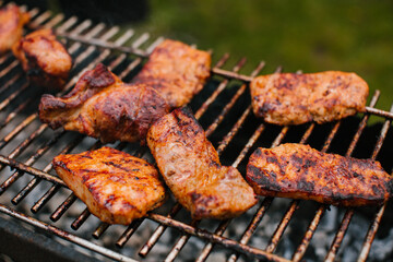 Summer hot fire BBQ on the grill on a green meadow. Pork skewers.
