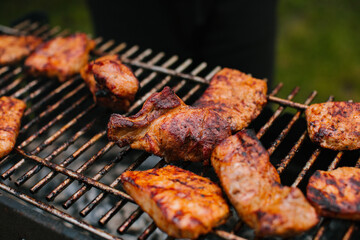 Summer hot fire BBQ on the grill on a green meadow. Pork skewers.