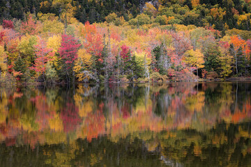 Fall in USA West Coast 7