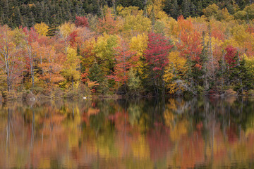 Fall in USA West Coast 5