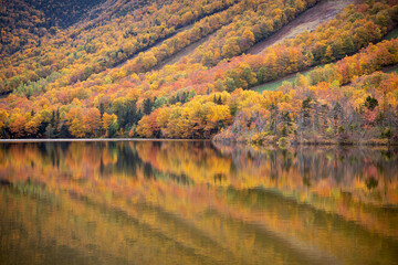 Fall in USA West Coast 4