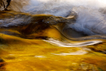 autumn stream