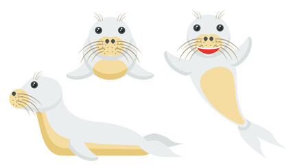 Set Abstract Collection Flat Cartoon Different Animal Seal Sea Calf Floats Swim Vector Design Elements Fauna Wildlife