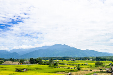 Beautiful scenic of rice field with local house and the mountain in the background