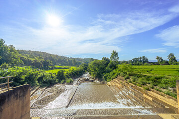 Water flow into rice field form the Dam from the waterfalls in the mountain