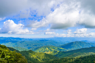 Beautiful mountain with meadow and forest as it is layer with the light shade at noon