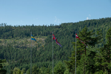 The three Scandinavian flags  hissed on poles in front of forest hill  