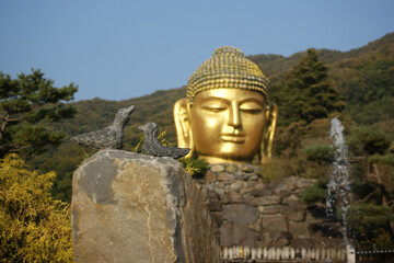 The face of a huge golden buddha statue in a Korean temple