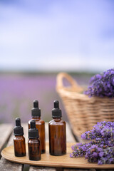 Obraz na płótnie Canvas Amber essential lavender oil bottle. Violet lavendar field in Provence.