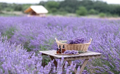 Rolgordijnen Amber essential lavender oil bottle. Violet lavendar field in Provence. © Kotkoa