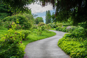 D, Bodensee, Sommermorgen auf der Blumeninsel Mainau, Spazierweg durch den Rosengarten
