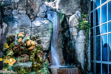 waterfall in the park