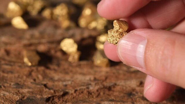 The man's hand was holding the gold ore found in the mines.	