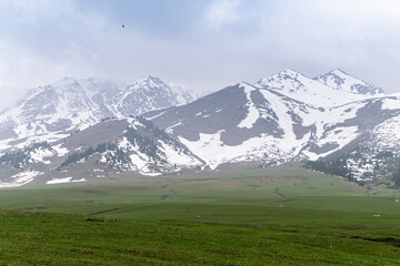 Snowy peaks, slopes of the Tien Shan mountains, Kyrgyzstan