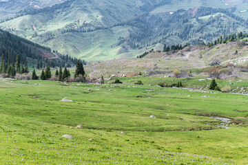 Fototapeta na wymiar Tien Shan mountains, Jagarlan, Kyrgyzstan