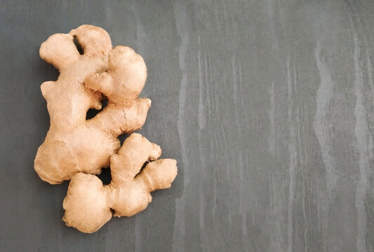 Ginger root Zingiber officinale on gray wooden