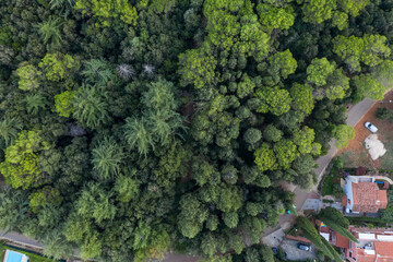 Aerial of  Forest and houses in Rovinj, Croatia