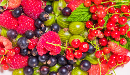 raspberries, currants, gooseberries, fresh fruits on a blue background