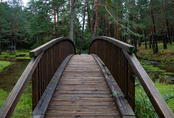 Puente al bosque