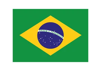 Foto op Aluminium brazil flag emblem © Jemastock