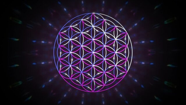 Flower Of Life. Sacred Geometry Loop Animation