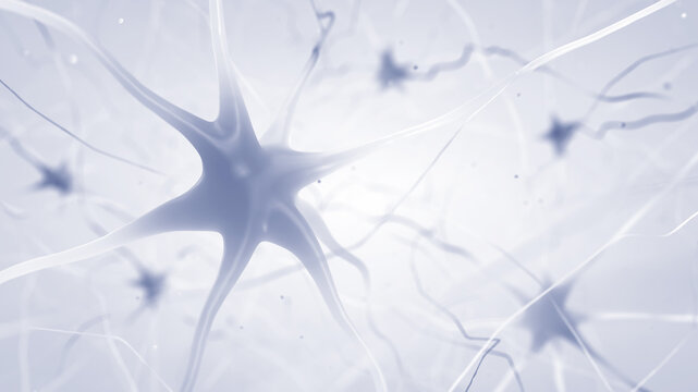 Human brain nerve cells (neurons) on white. The neurons transmit information between different parts of the brain and between the brain and the rest of the nervous system