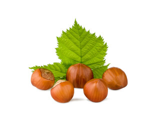 Hazelnuts isolated on a white background