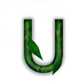 green letter a