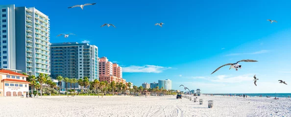 Fototapete Clearwater Strand, Florida Schöner Clearwater-Strand mit weißem Sand in Florida USA mit Seemöwen