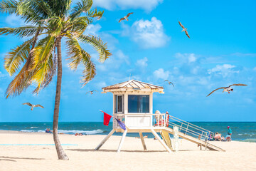 Seafront beach promenade with palm trees on a sunny day in Fort Lauderdale with seagulls - obrazy, fototapety, plakaty