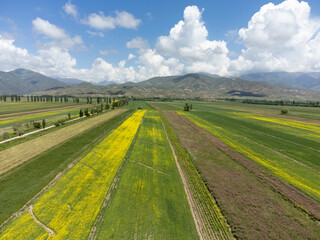 Obraz premium Aerial view of rows of colorful fields growing in Kyrgyzstan