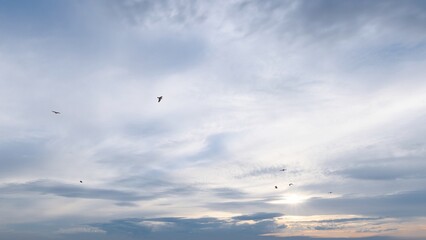 7680x4320 Pixel. Sunset sky background with tiny clouds. 