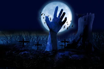 Foto op Plexiglas  Zombie hands rising in dark Halloween night. © jakrin1976