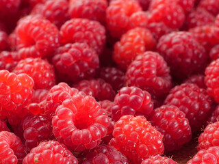 Ripe red raspberries as background