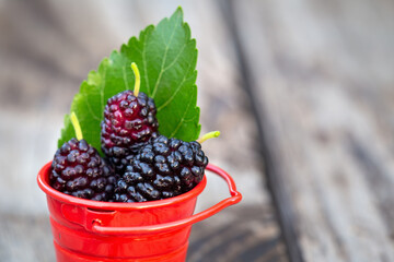Mulberry fruits, healthy sweet dessert in a red pail, food background