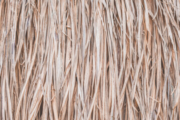 Long dry thin grass, agriculture harvest, pile of hay straw. Texture detail. Association brittle lifeless damage diseased hair. Thatched background wallpaper. Shades of gray brown more tone in stock