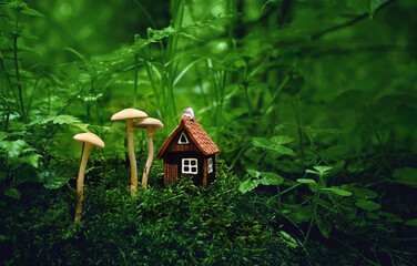 Toy house and mushrooms on moss in mystery forest, dark natural background. Symbol of family. Eco...
