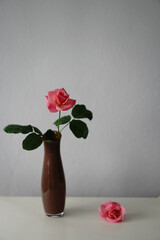 Fototapeta na wymiar pink roses in vase