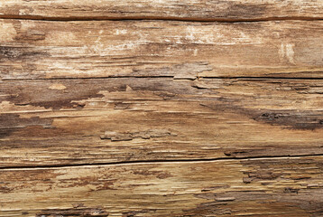 Dry cracked wood texture