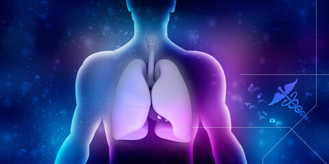 3d illustration Healthy Human Lungs 
