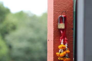 flowers in the window