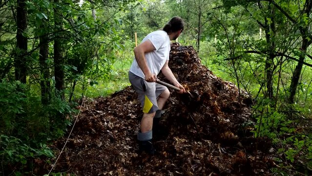 Man gather leaves in one big pile to let them rot to create compost for his garden over time.