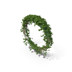 3D illustration of a realistic Ivy plant