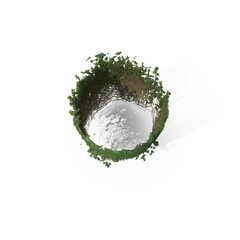 3D illustration of a realistic Ivy plant
