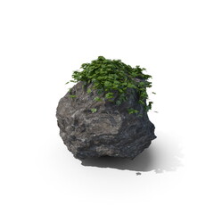 3D illustration of a realistic Ivy plant
