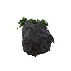 3D illustration of a realistic Ivy plant
