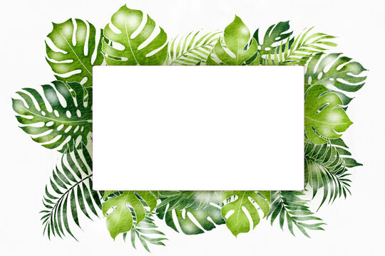 Tropical Frame" Images – Browse 1,129 Stock Photos, Vectors, and Video |  Adobe Stock