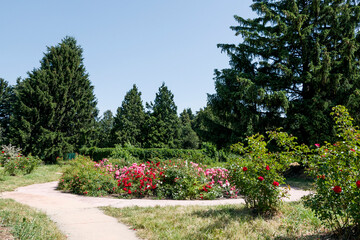 garden with flowers